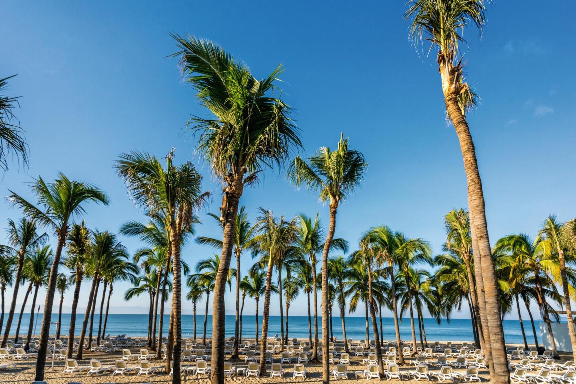 Riu Vallarta Nuevo Vallarta Ngoại thất bức ảnh